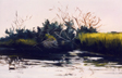 Ocracoke Sound